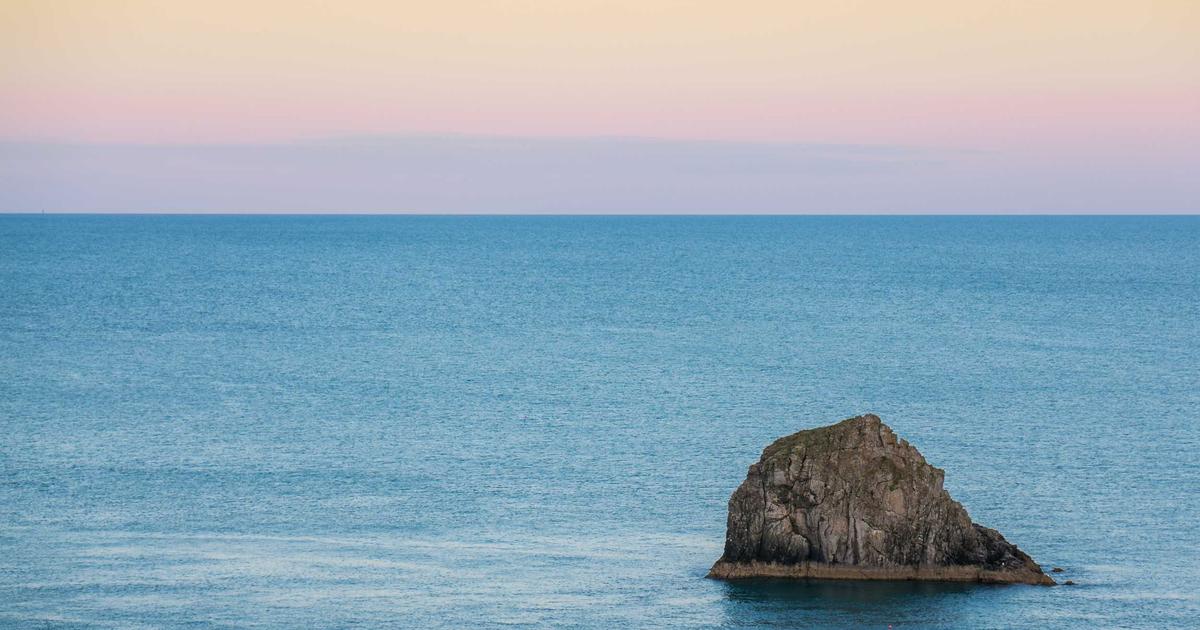 Building a Responsive Organisation