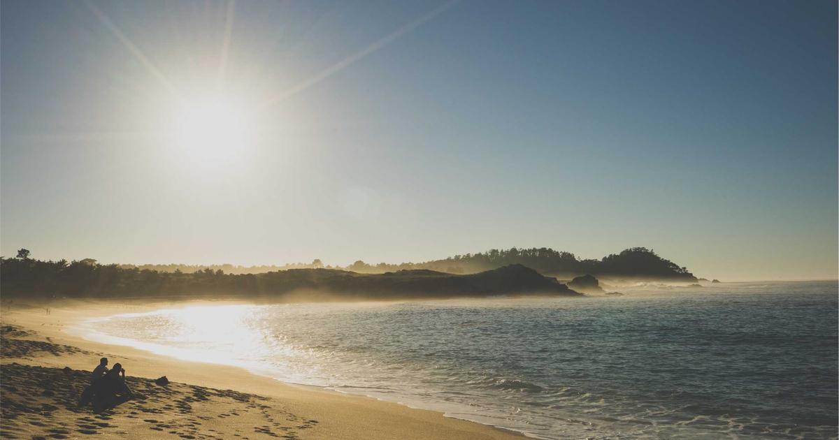 Navigating the Information Age